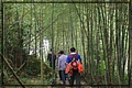2011-12-18 14-51-20往二尖山途中.JPG